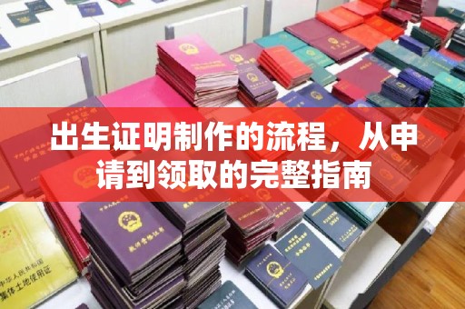八公山出生证明制作的流程，从申请到领取的完整指南